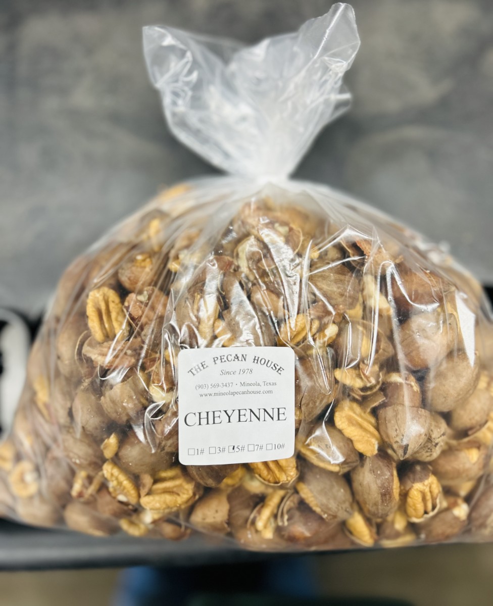 Cheyenne Cracked Pecans